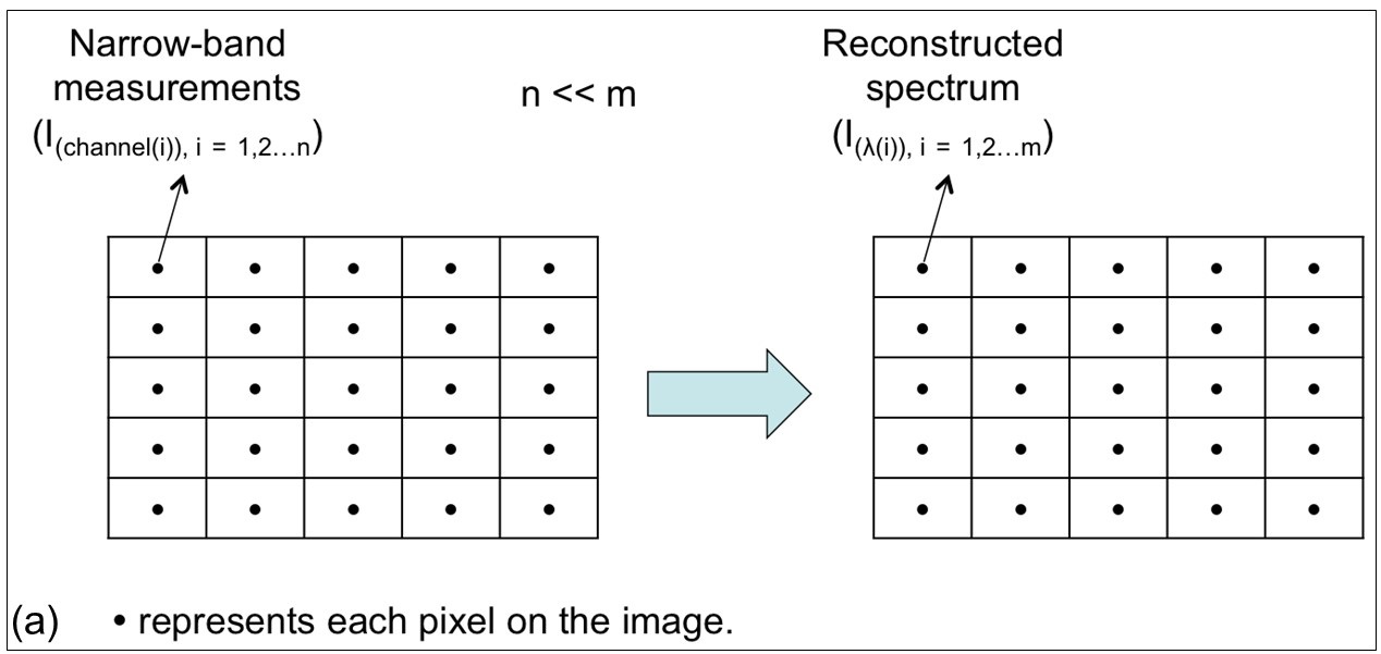 Fast Raman Spectroscopic Imaging
